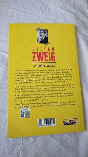  Stefan Zweig ay ışığı sokağı 