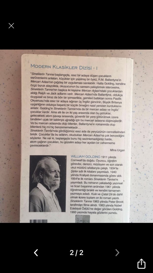Sineklerin Tanrısı - William Golding - Görsel 2