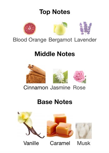 Beliga Casamorati Lira Kadın Parfüm Muadili - Görsel 3