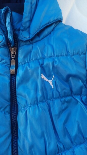 Puma Puma orjinal mont