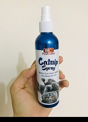 Catnip kedi oyun spreyi
