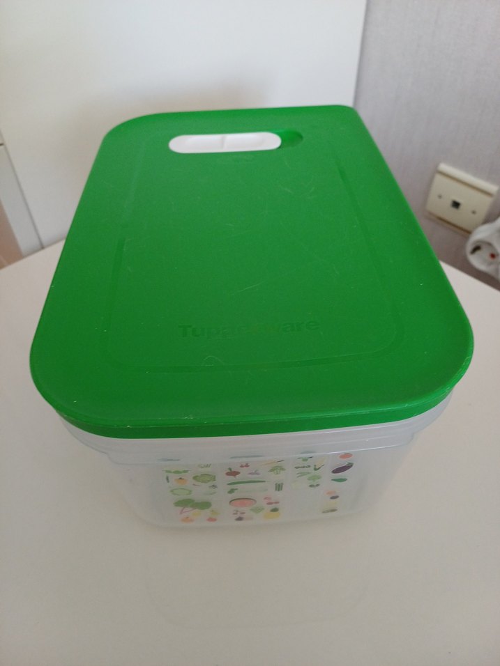 Yeşil Kapaklı Plastik Saklama Kutusu - Görsel 2