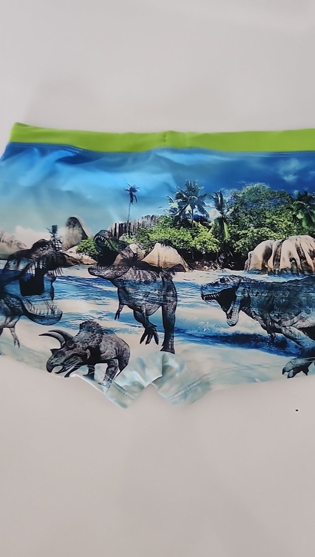 Renkli Dinozor Baskılı Erkek Çocuk Mayo 10/11 yaş - Görsel 3