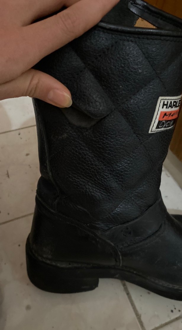 Harley-Davıdson - Görsel 4