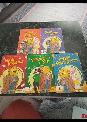 Görünmez Kedi Hikaye Seti - 5 Kitap - Görsel 2
