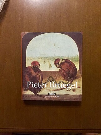 Pieter Bruegel - YKY Sanar Serisi