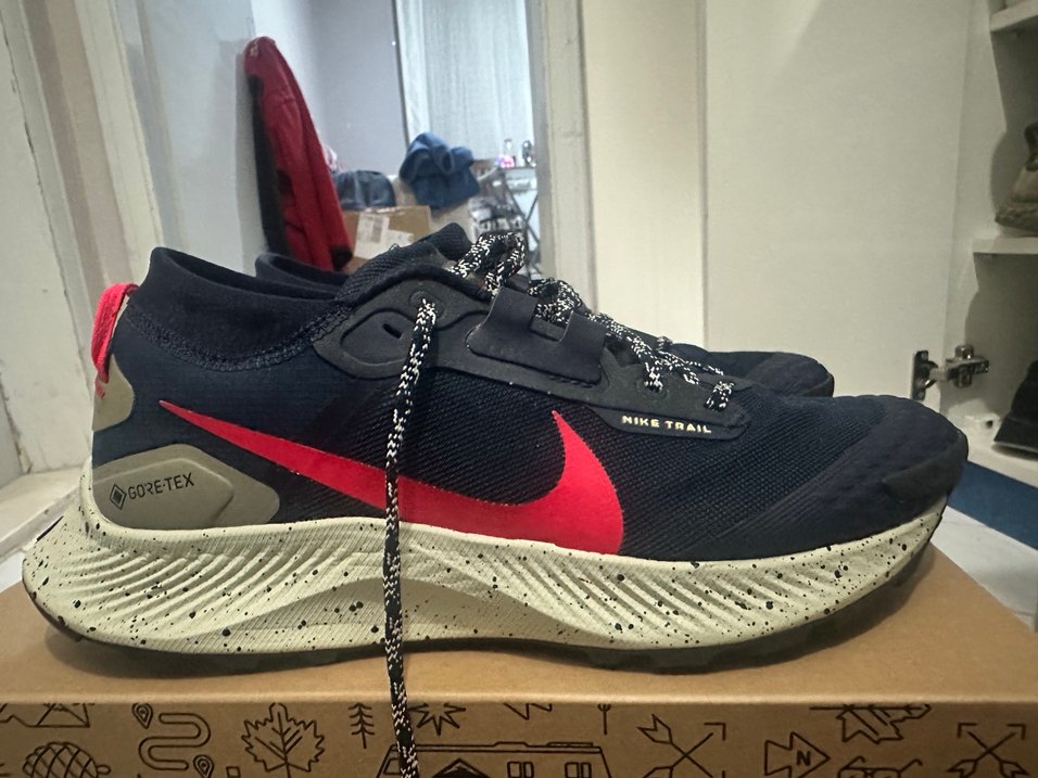 Nike Pegasus Trail 3 Goretex GTX - Görsel 3