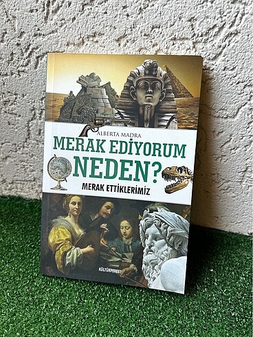 Merak Ediyorum Neden?