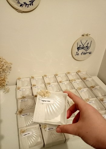 Kutulu İstiridye Mum - Görsel 6