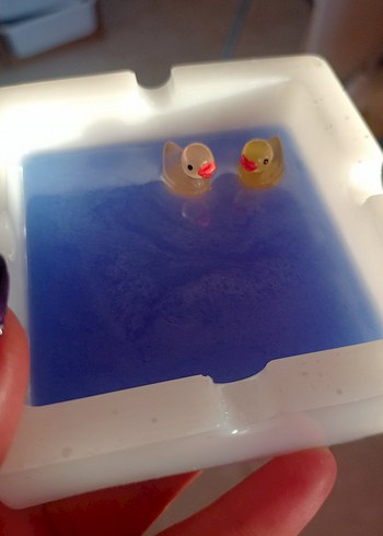 Ördek Küllük - Görsel 4