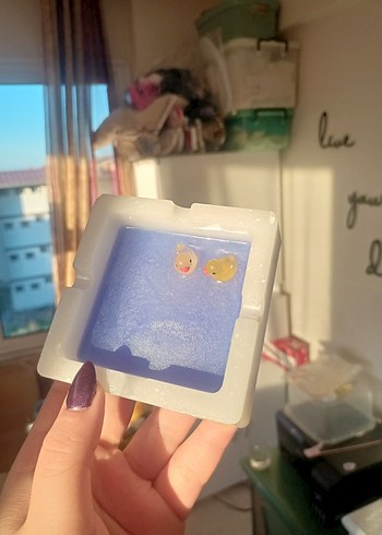 Ördek Küllük - Görsel 2