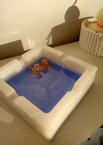 Ördek Küllük - Görsel 3