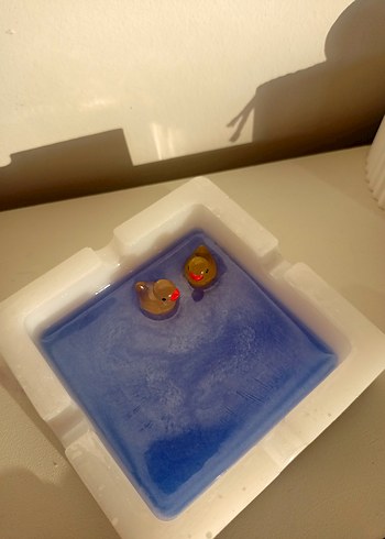 Ördek Küllük - Görsel 5