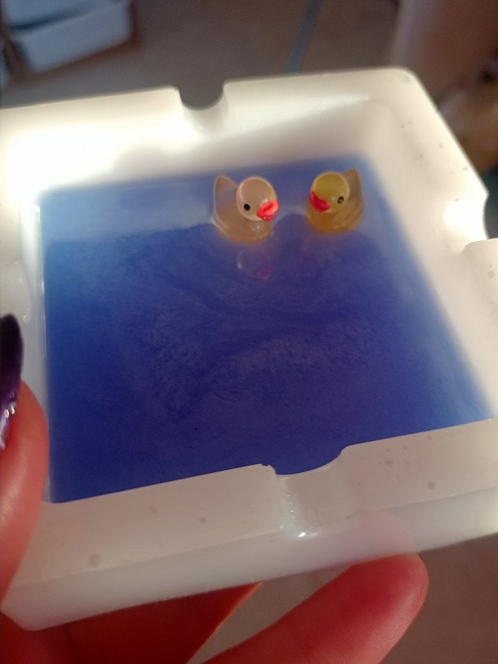 Ördek Küllük - Görsel 4