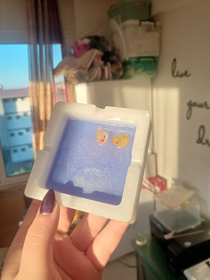 Ördek Küllük - Görsel 2