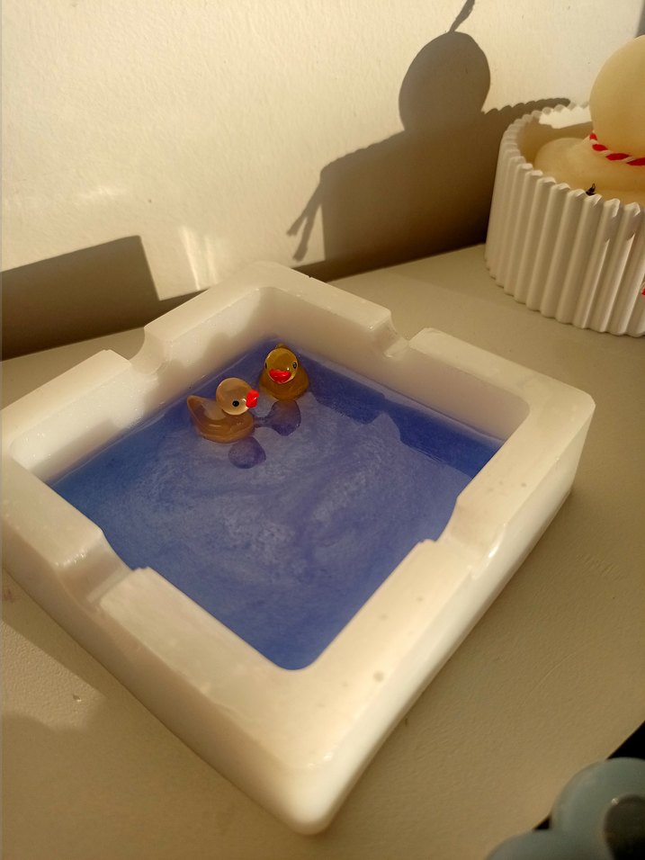 Ördek Küllük - Görsel 3