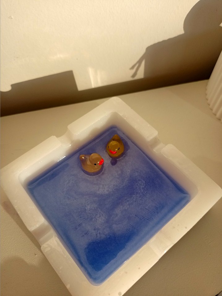 Ördek Küllük - Görsel 5