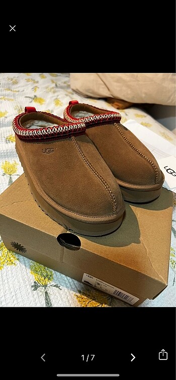 Orjinal Ugg tazz