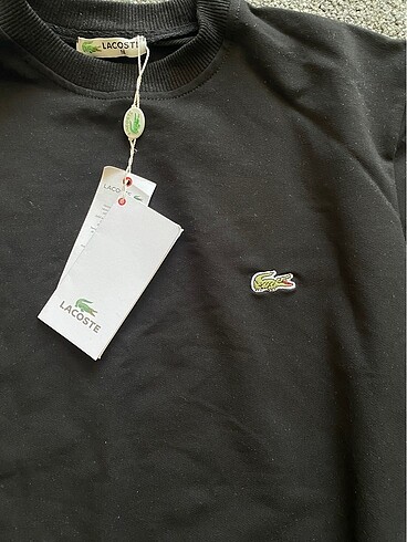 Lacoste Lacoste sweat