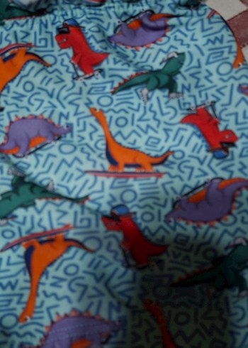 Erkek Çocuk Renkli Desenli Mayo Şortları - Görsel 6