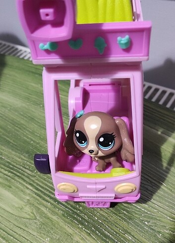 Beden Karavan ve Miniş Kediler Set halinde