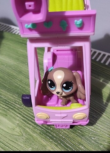 Karavan ve miniş