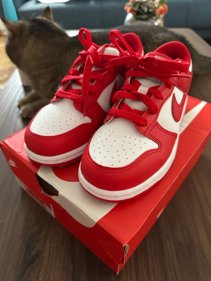 Nike Kırmızı dunk Sneakers - Görsel 2