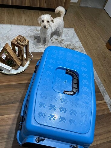 Kedi köpek taşıma çantası