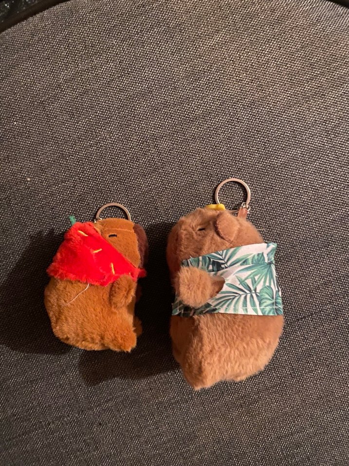Capybara Peluş Anahtarlıklar - Görsel 2