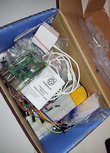 Raspberry pi
