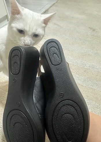 40 Beden kahverengi Renk Kahverengi Dolgu Topuklu Kadın Sandalet