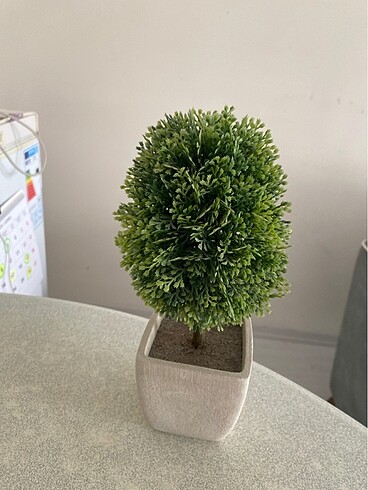 Ikea çam ağacı