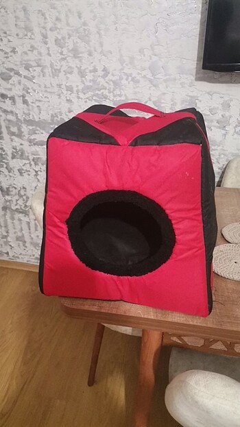 Kedi evi yeni 