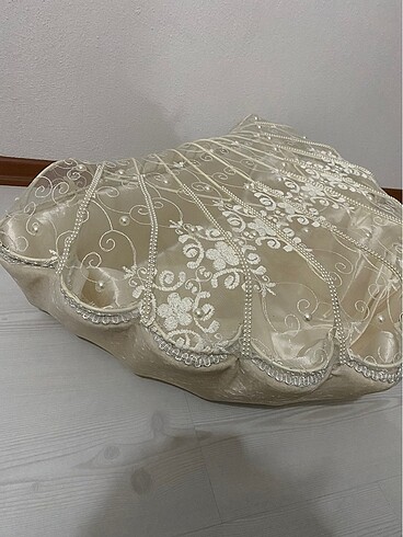  Beden İstiridye sandık