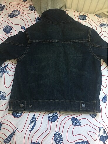 Kot kapan - Görsel 2