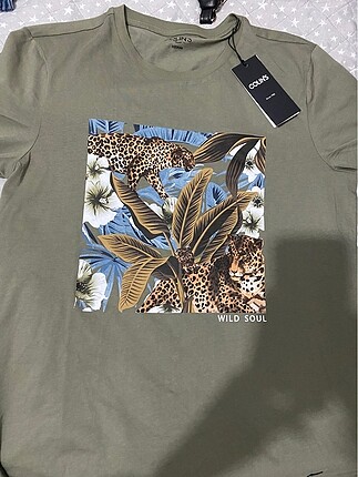 m Beden Colins tshirt