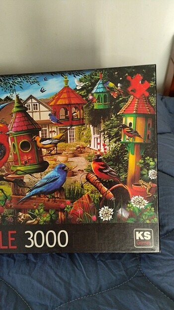  Beden 3000 parça puzzle 