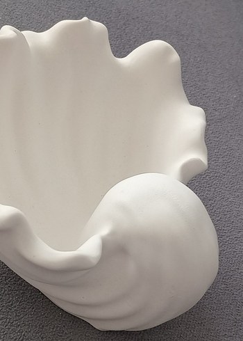 Büyük istriye kabugu .Ham obje - Görsel 4