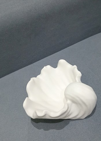 Büyük istriye kabugu .Ham obje - Görsel 2