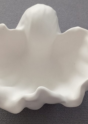 Büyük istriye kabugu .Ham obje - Görsel 3