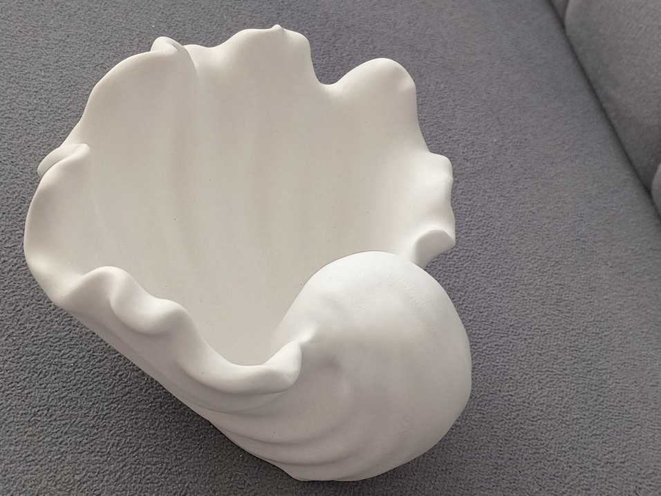 Büyük istriye kabugu .Ham obje - Görsel 4