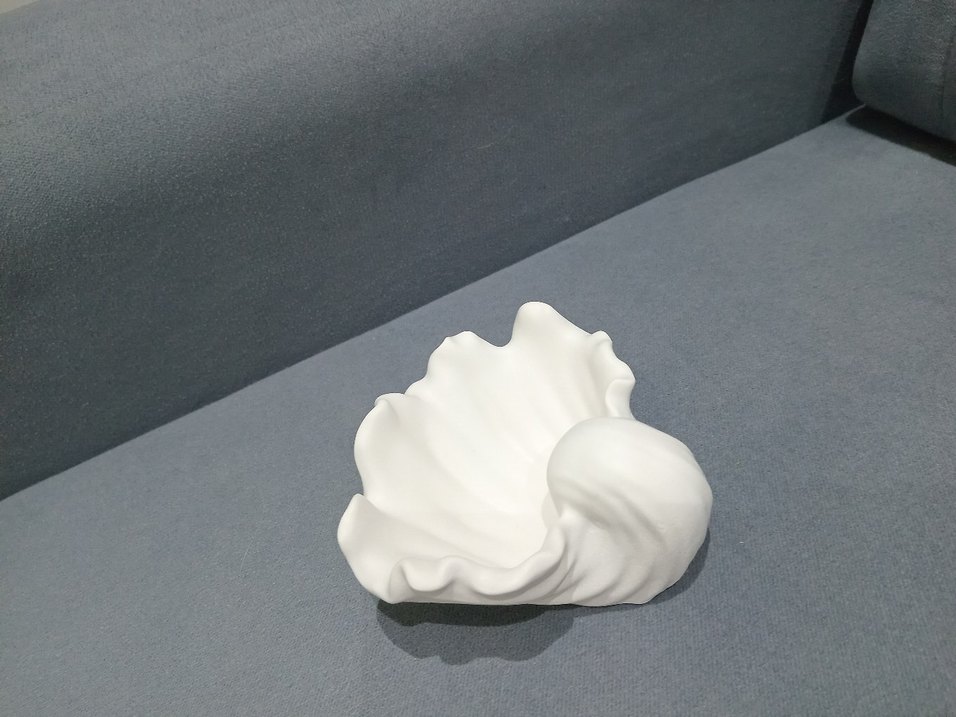 Büyük istriye kabugu .Ham obje - Görsel 2