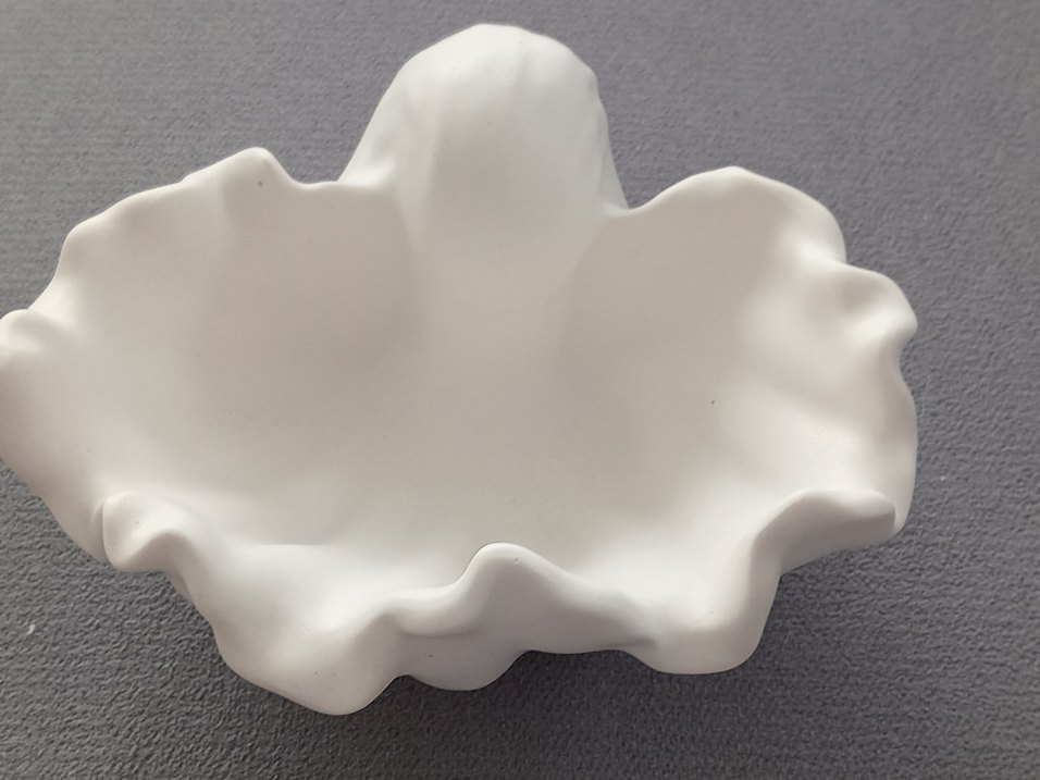 Büyük istriye kabugu .Ham obje - Görsel 3