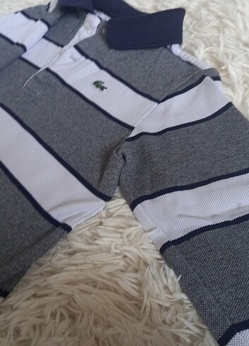 Lacoste Lacoste kazak