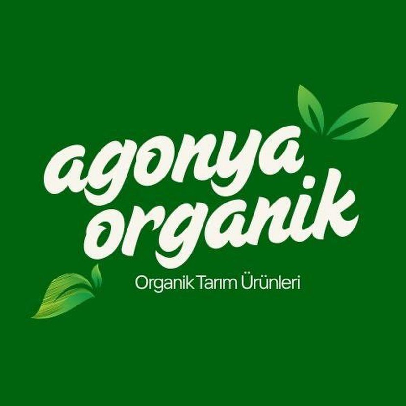 Ev Yapımı Domates salçası - Görsel 5