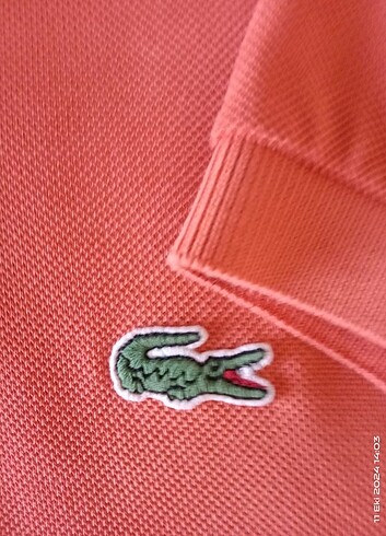 Lacoste Orjinal lacoste