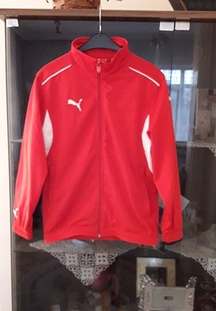 puma eşofman üsttü