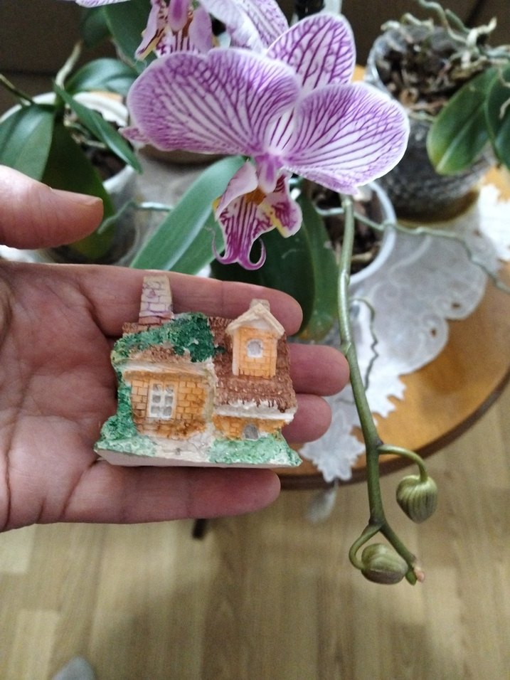 Beyaz Pastel Renkli Minyatür Ev Figürü - Görsel 5