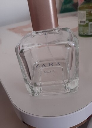 Zara orchid 