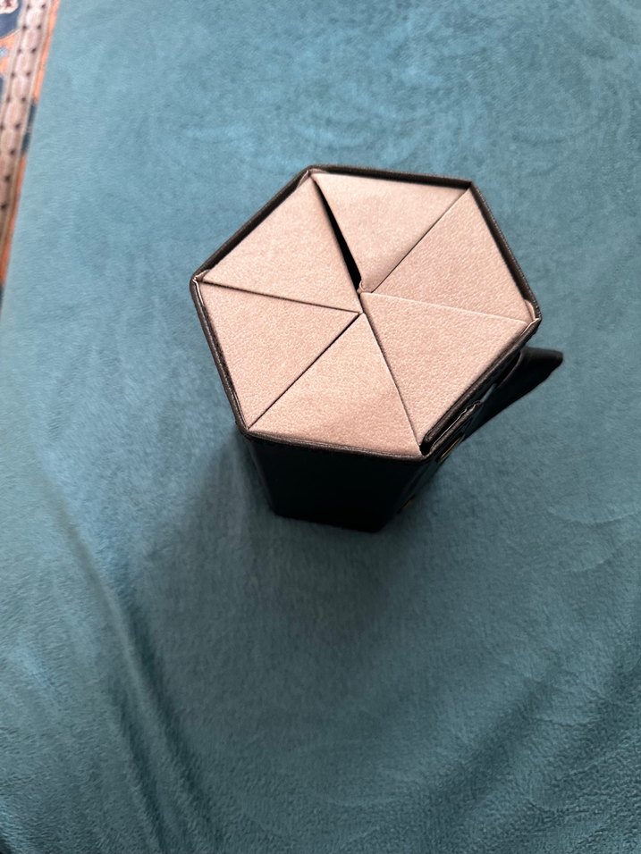 Siyah altı bölmeli gözlük muhafaza kutusu - Görsel 4